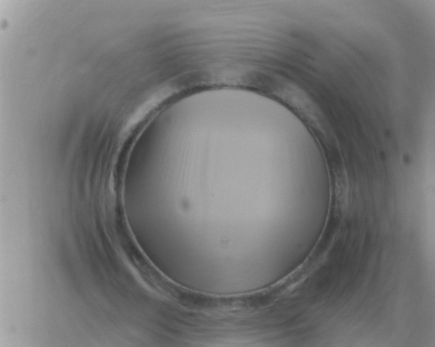 X0000065960674200603172025