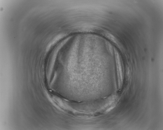 X0000065960677200603172025