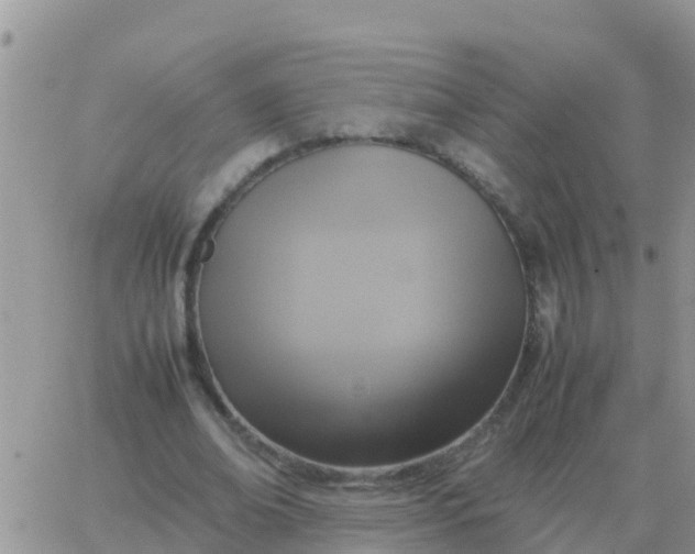 X0000065960678200603172025