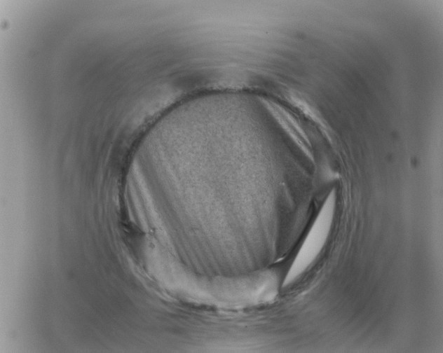 X0000065960681200603172025