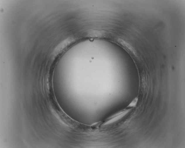 X0000065960682200603172025