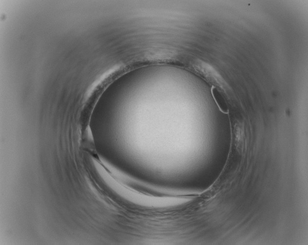 X0000065960684200603172025