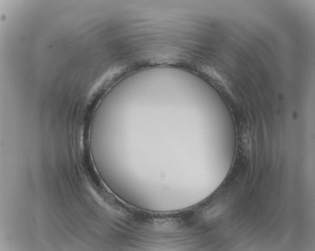 X0000065960686200603172025