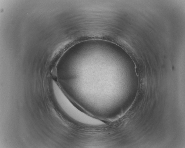 X0000065960688200603172025