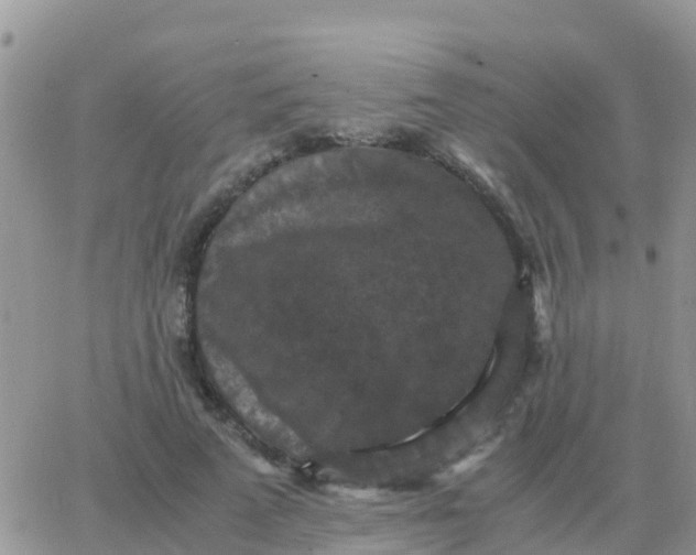 X0000065960689200603172025