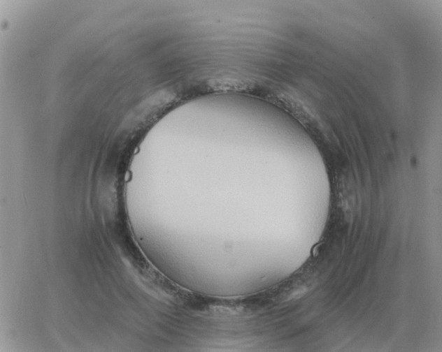 X0000065960690200603172025