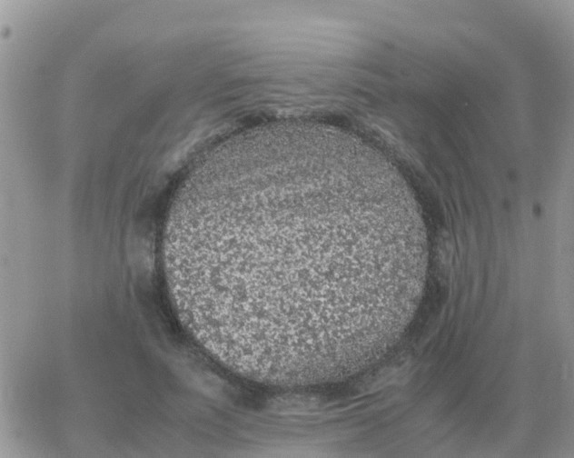 X0000065960691200603172025