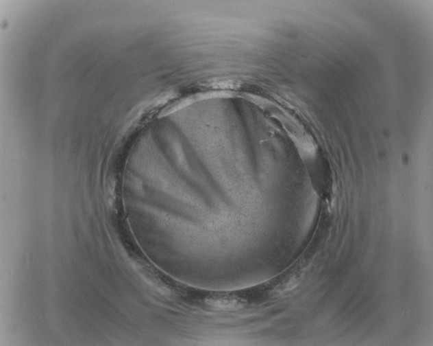 X0000065960693200603172025