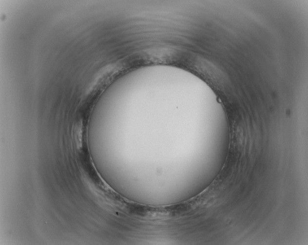 X0000065960694200603172025