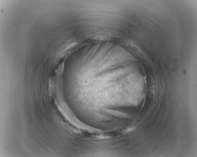 X0000065960696200603172025