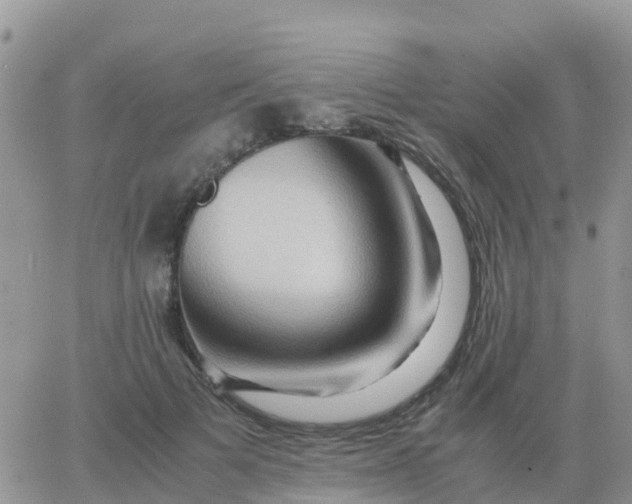 X0000065960697200603172025