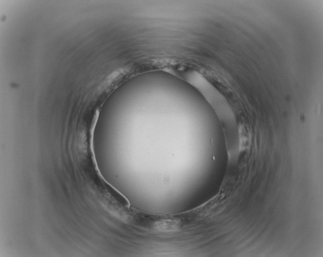 X0000065960700200603172025