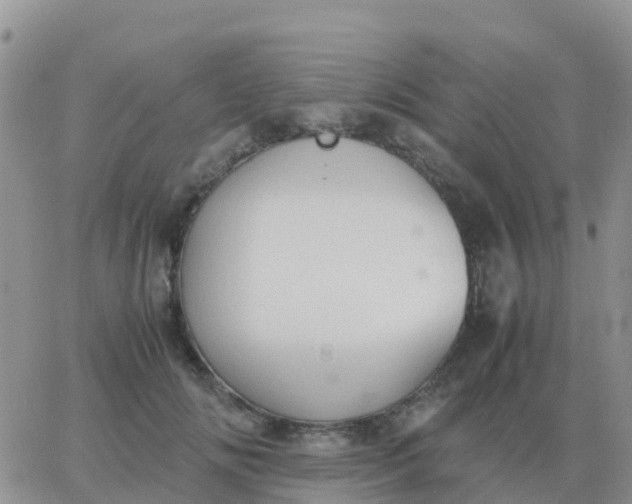 X0000065960702200603172025