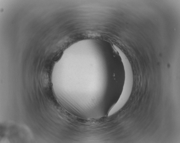 X0000065960704200603172025