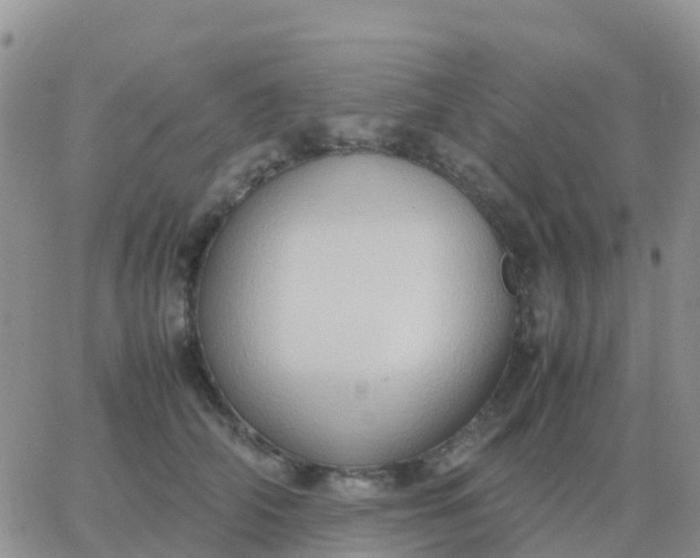 X0000065960706200603172025