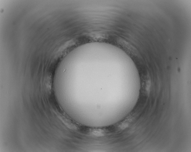 X0000065960710200603172024