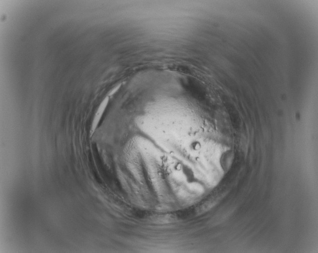 X0000065960711200603172024