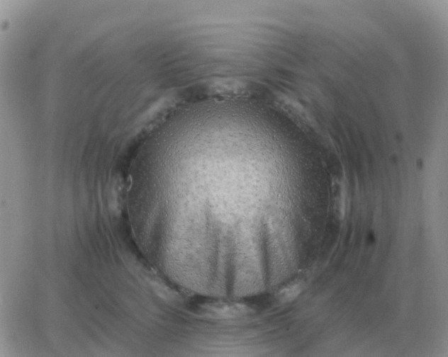 X0000065960712200603172024