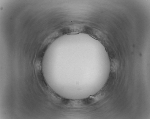 X0000065960713200603172024