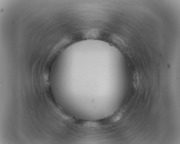 X0000065960714200603172024