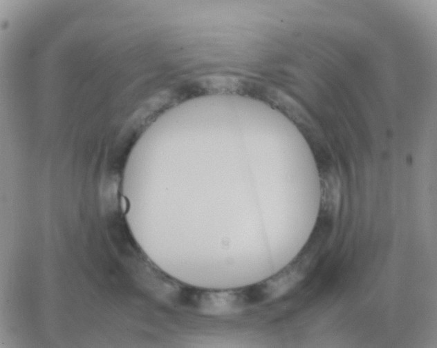 X0000065960717200603172024