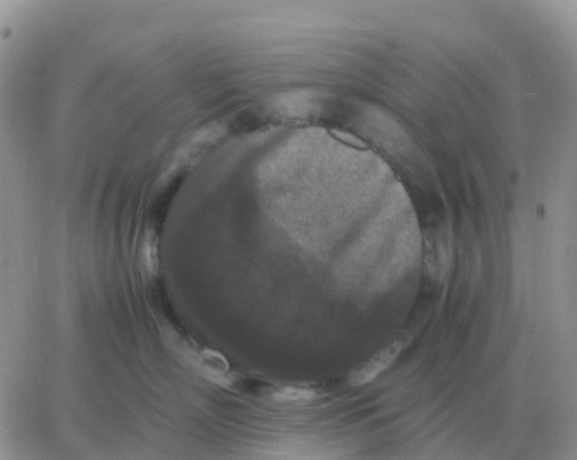 X0000065960718200603172024