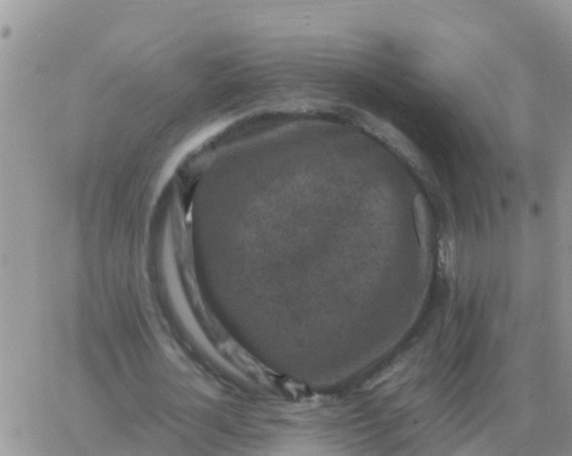 X0000065960724200603172024