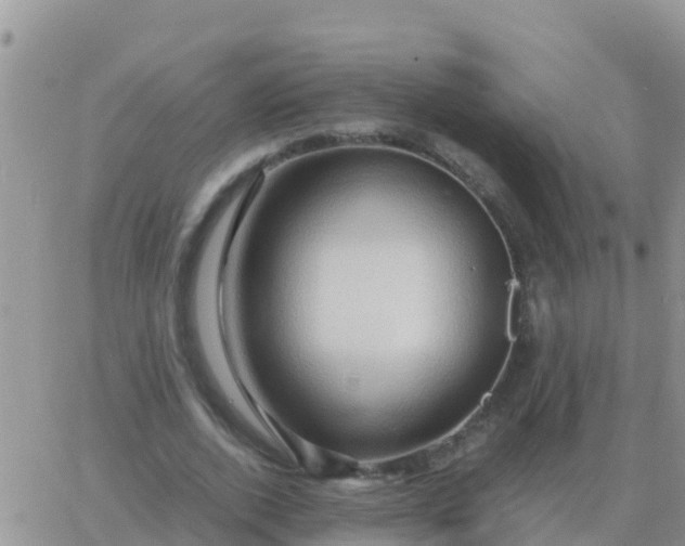 X0000065960728200603172024