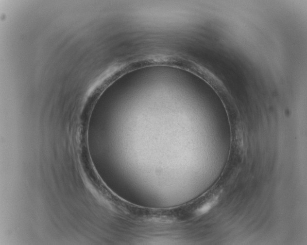 X0000065960730200603172024