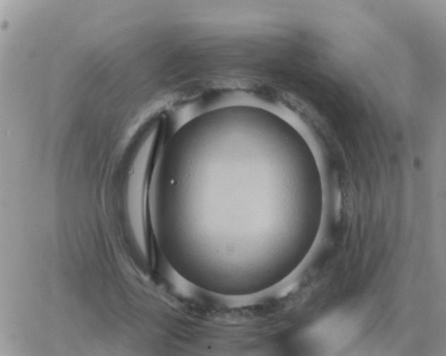 X0000065960731200603172024