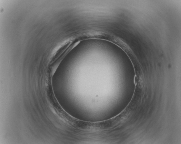 X0000065960732200603172024