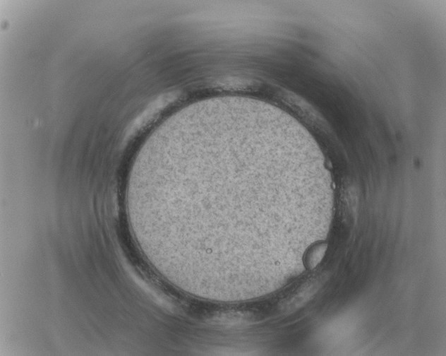 X0000065960734200603172024