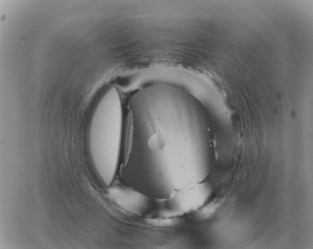 X0000065960735200603172024