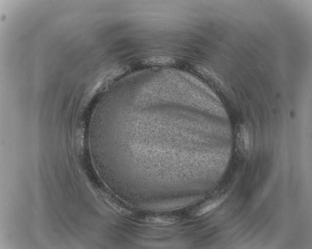 X0000065960739200603172024