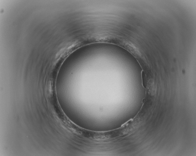 X0000065960740200603172024