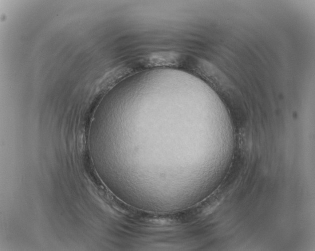 X0000065960741200603172024