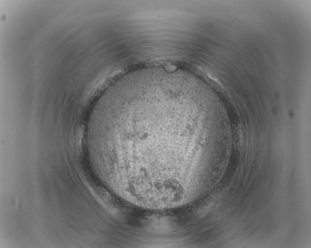 X0000065960742200603172024