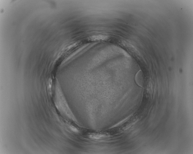 X0000065960743200603172024