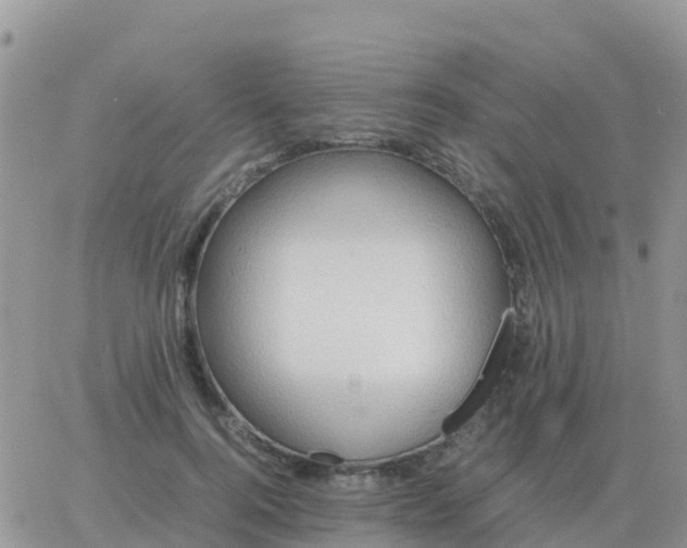 X0000065960744200603172024