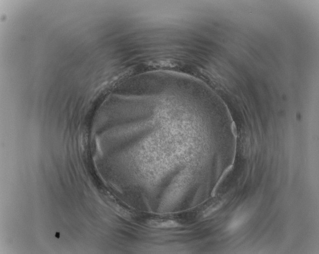 X0000065960747200603172024