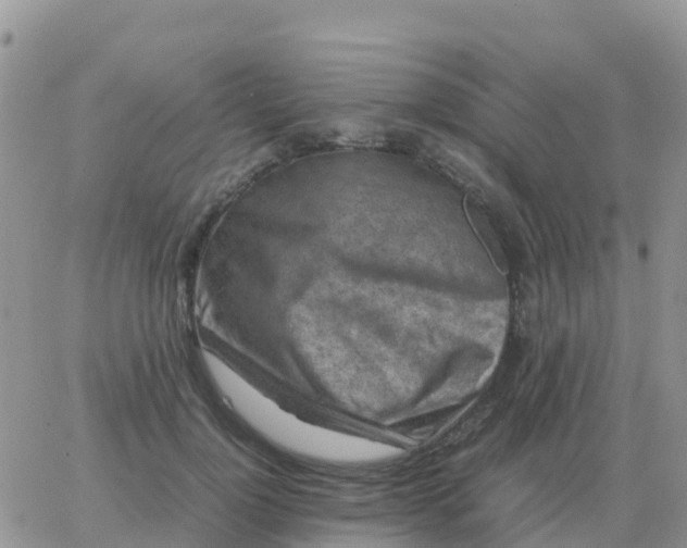 X0000065960748200603172024