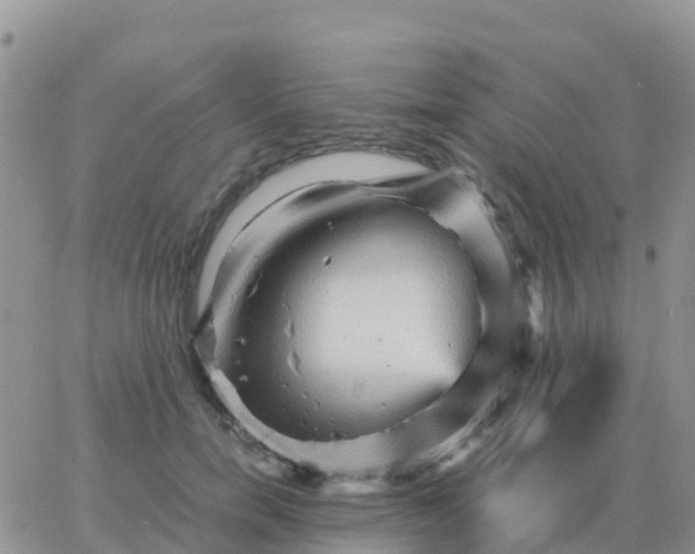 X0000065960750200603172024