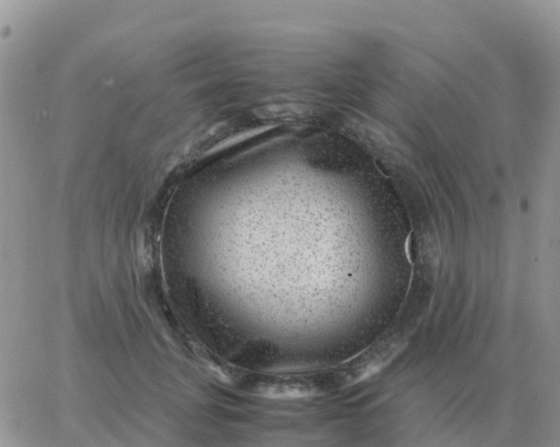 X0000065960751200603172024