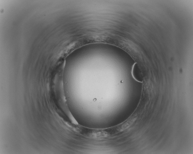 X0000065960752200603172024