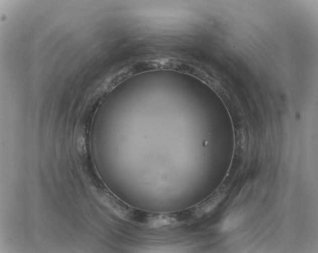 X0000065960754200603172024