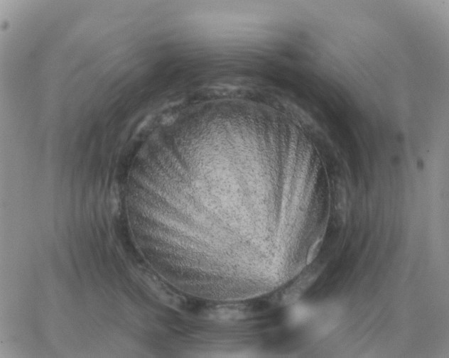 X0000065960758200603172024