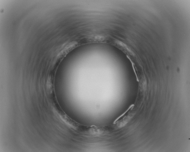 X0000065960764200603172024