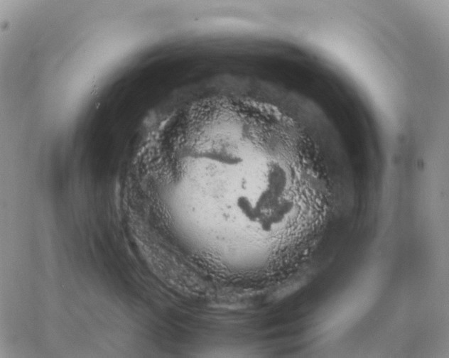 X0000065960765200603172024