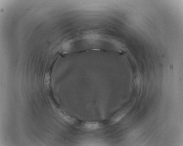 X0000065960767200603172024