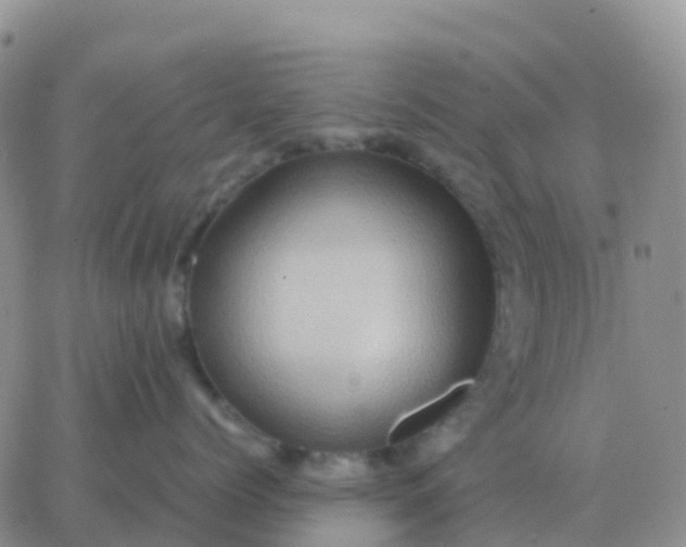 X0000065960768200603172024